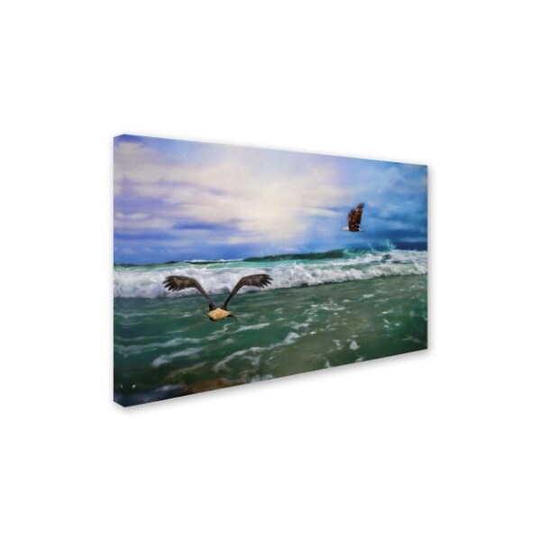 Jai Johnson 'Eagles At Sea' Canvas Art,12x19